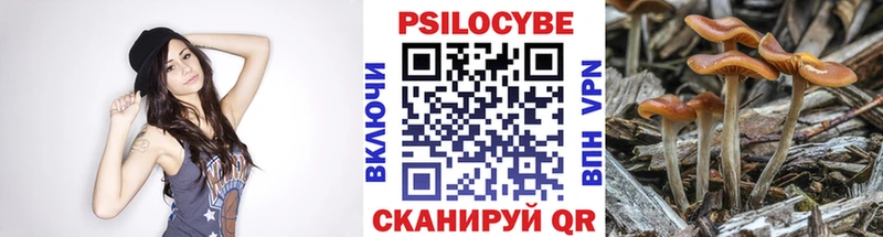 где купить наркотик  Советский  omg ссылка  Галлюциногенные грибы мицелий 
